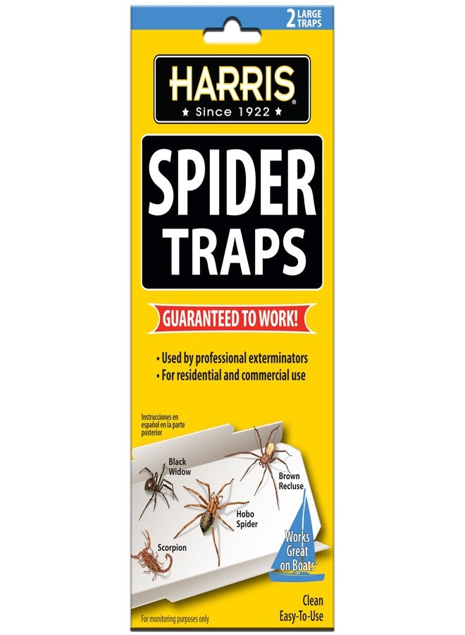 Harris Spider Glue Traps, Pesticide Free (2-Pack), Kills Brown Recluse, Hobo Spider, Black Widow and More - Image 1